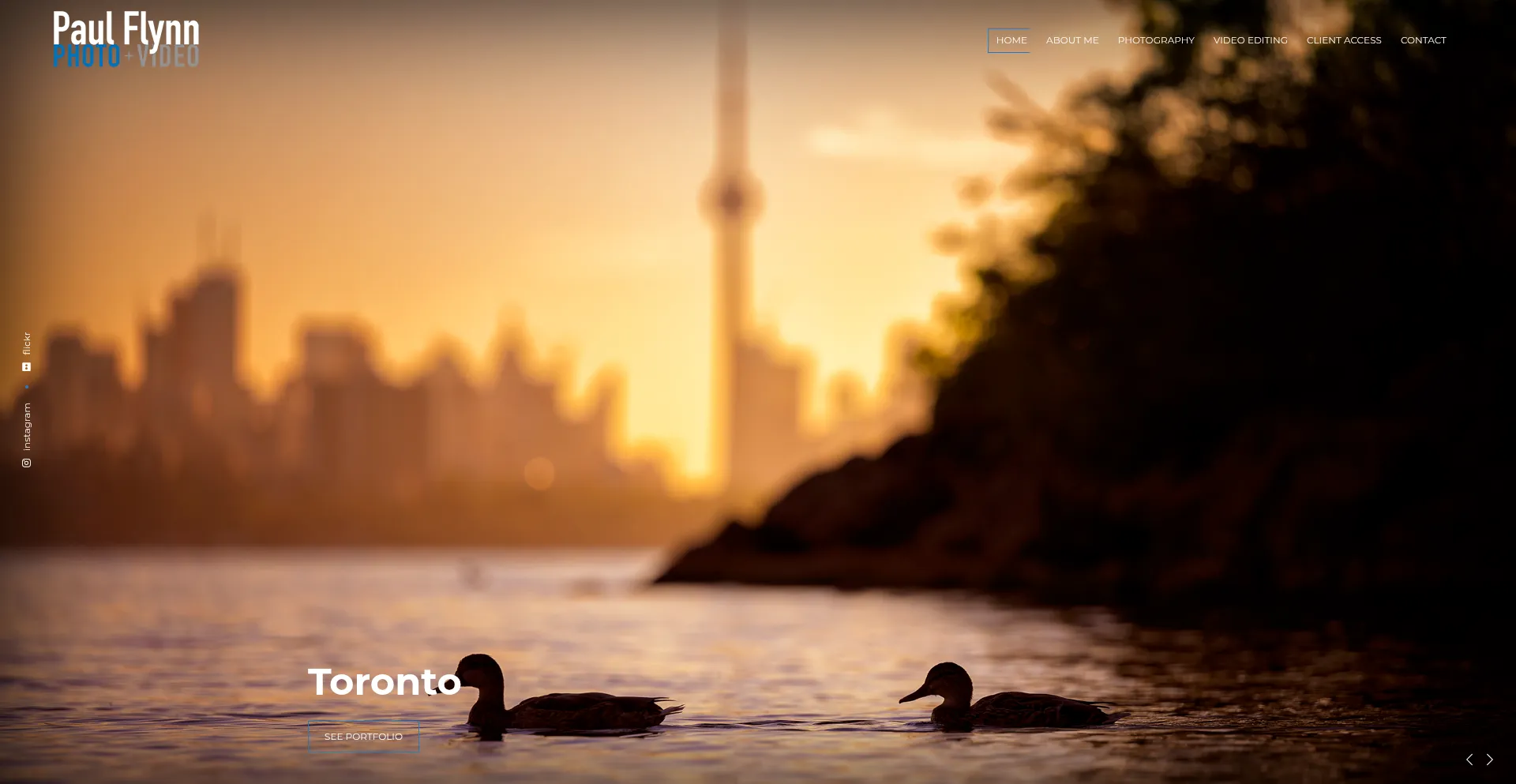 Website screenshot of Paulflynn.ca
