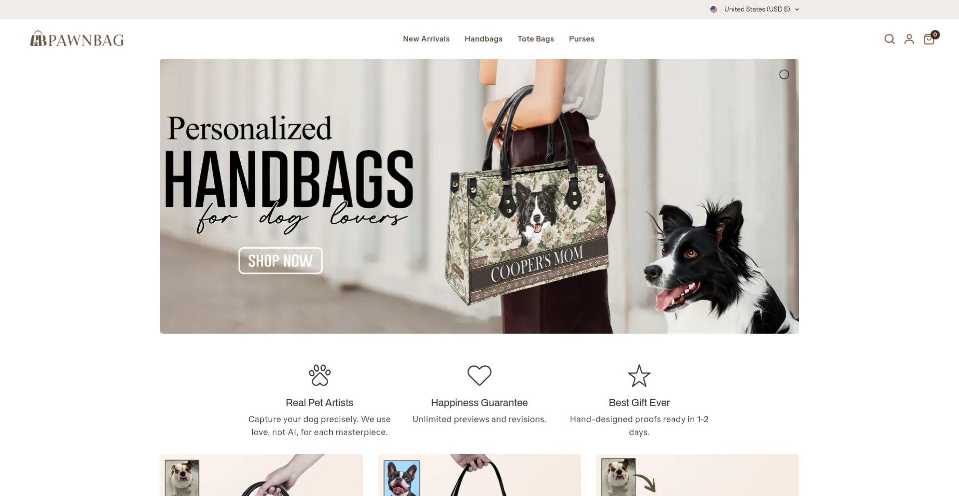 Website screenshot of Pawnbag.com