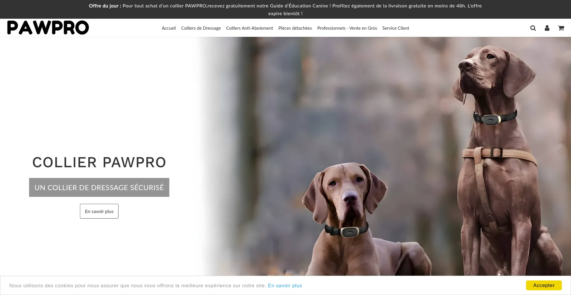 Pawpro.eu