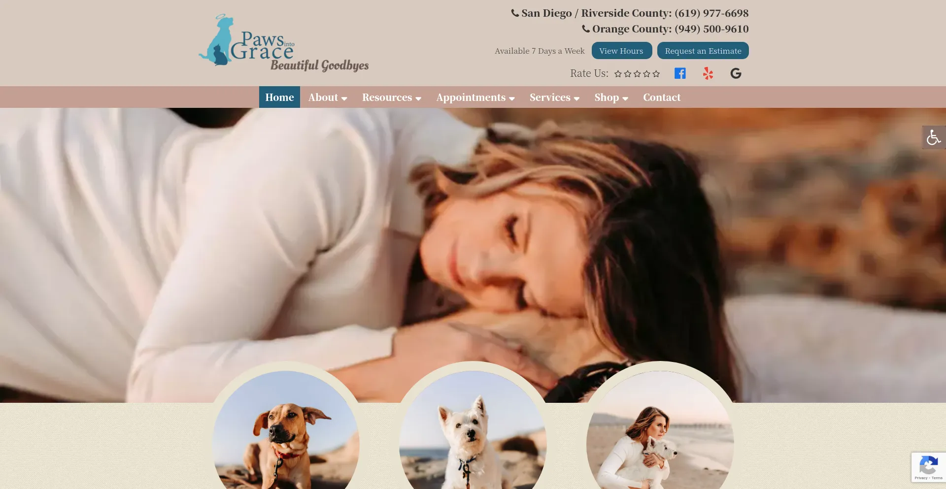 Website screenshot of Pawsintograce.com
