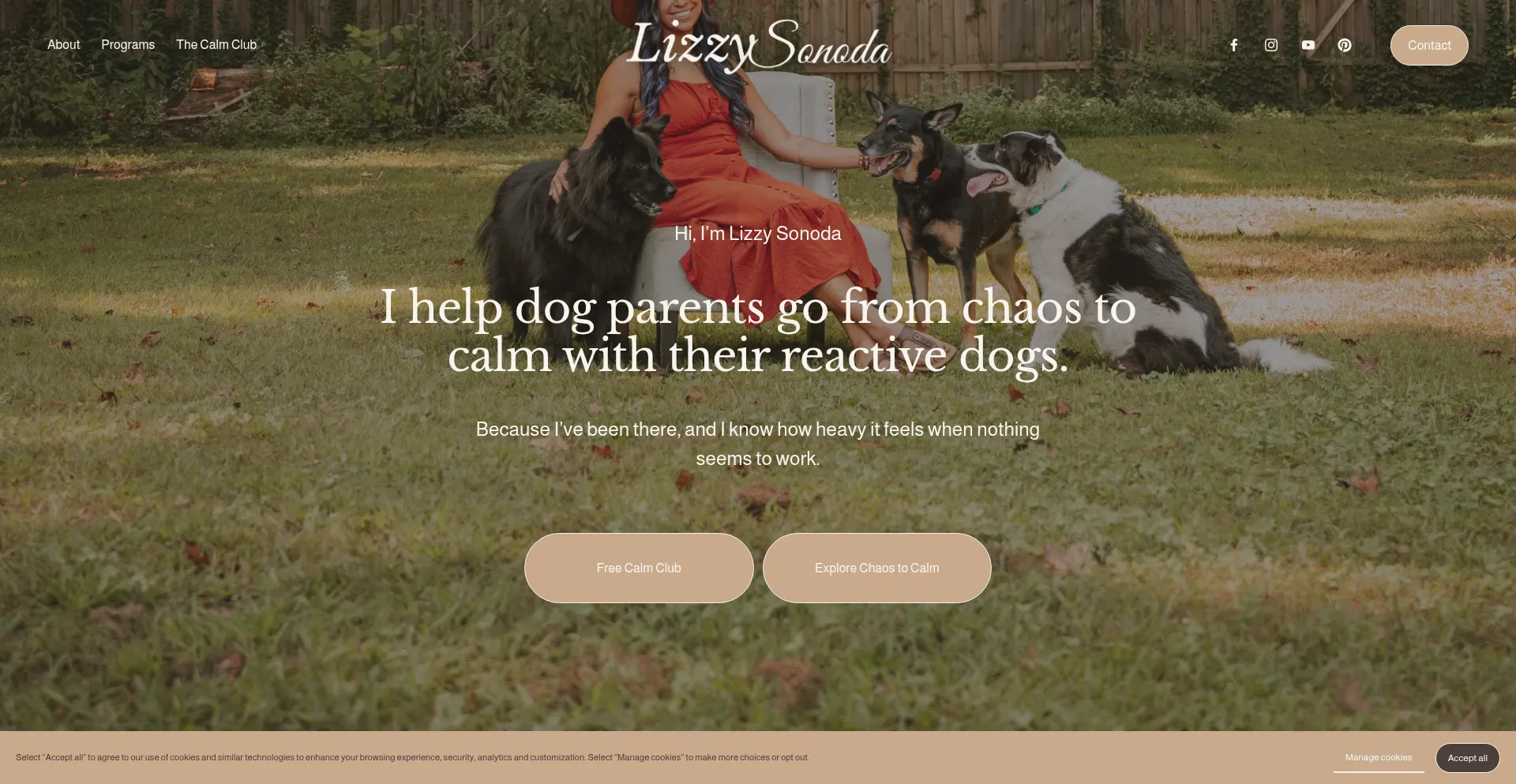 Pawsitivevibestraining.com