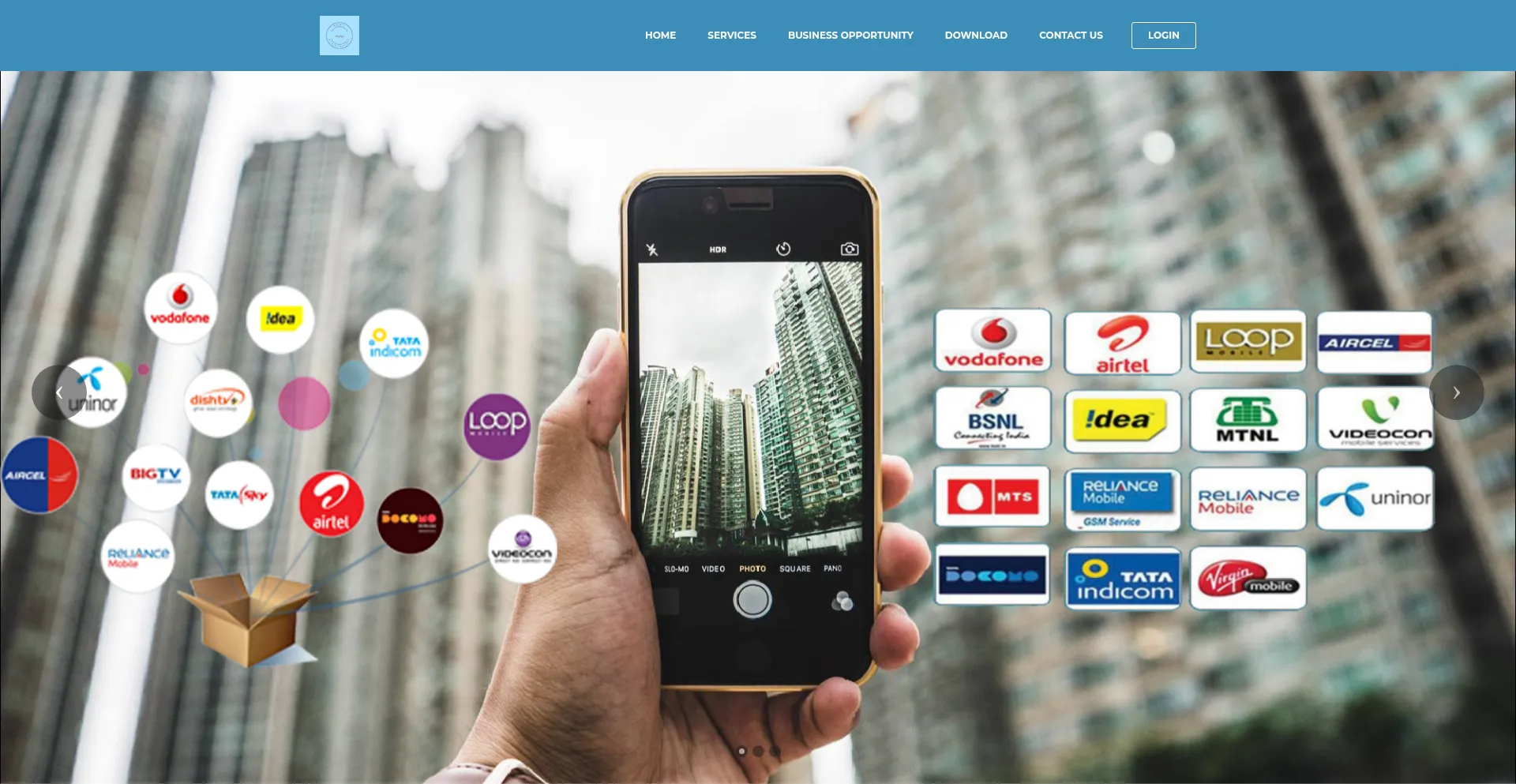 Website screenshot of Payapi.co.in
