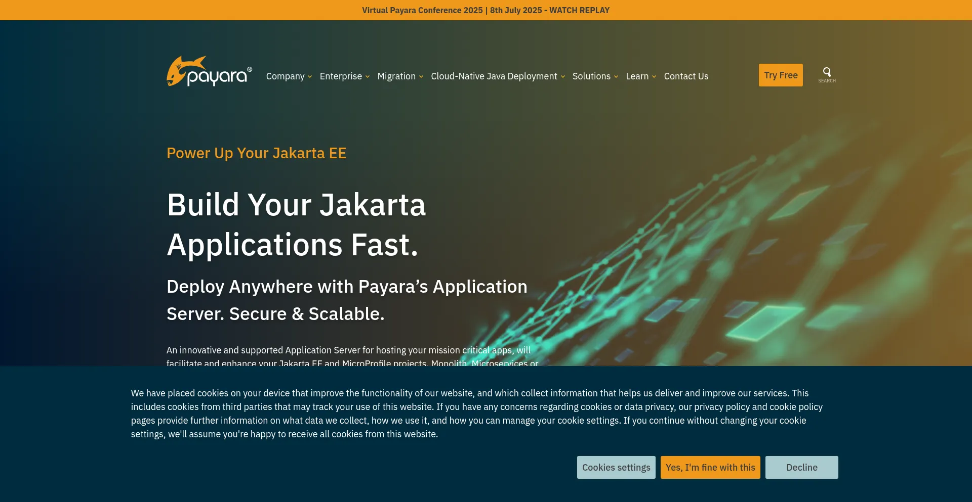 Website screenshot of Payara.fish