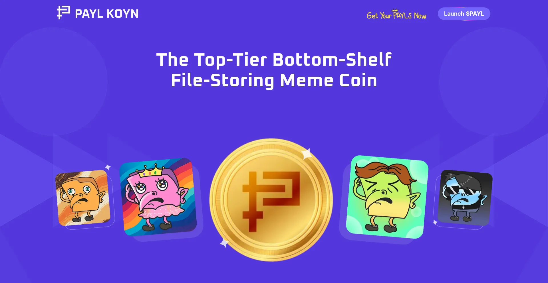 Paylkoyn.io