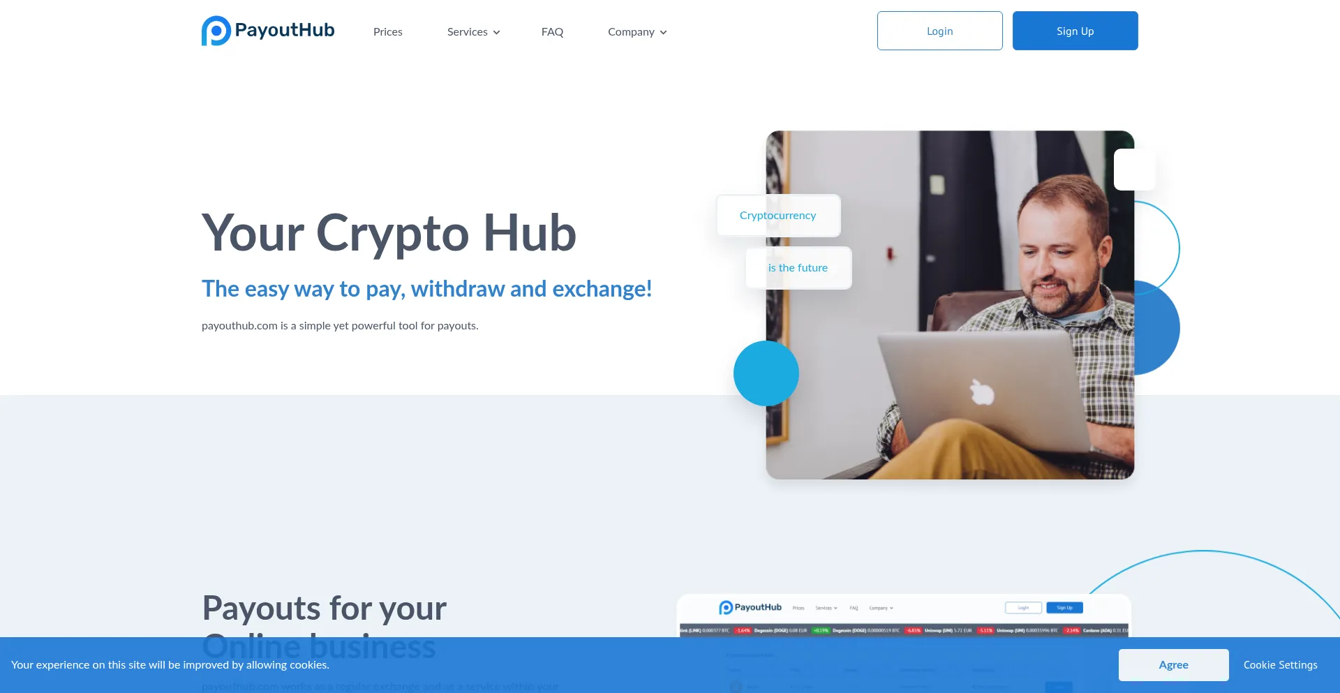 Website screenshot of Payouthub.com