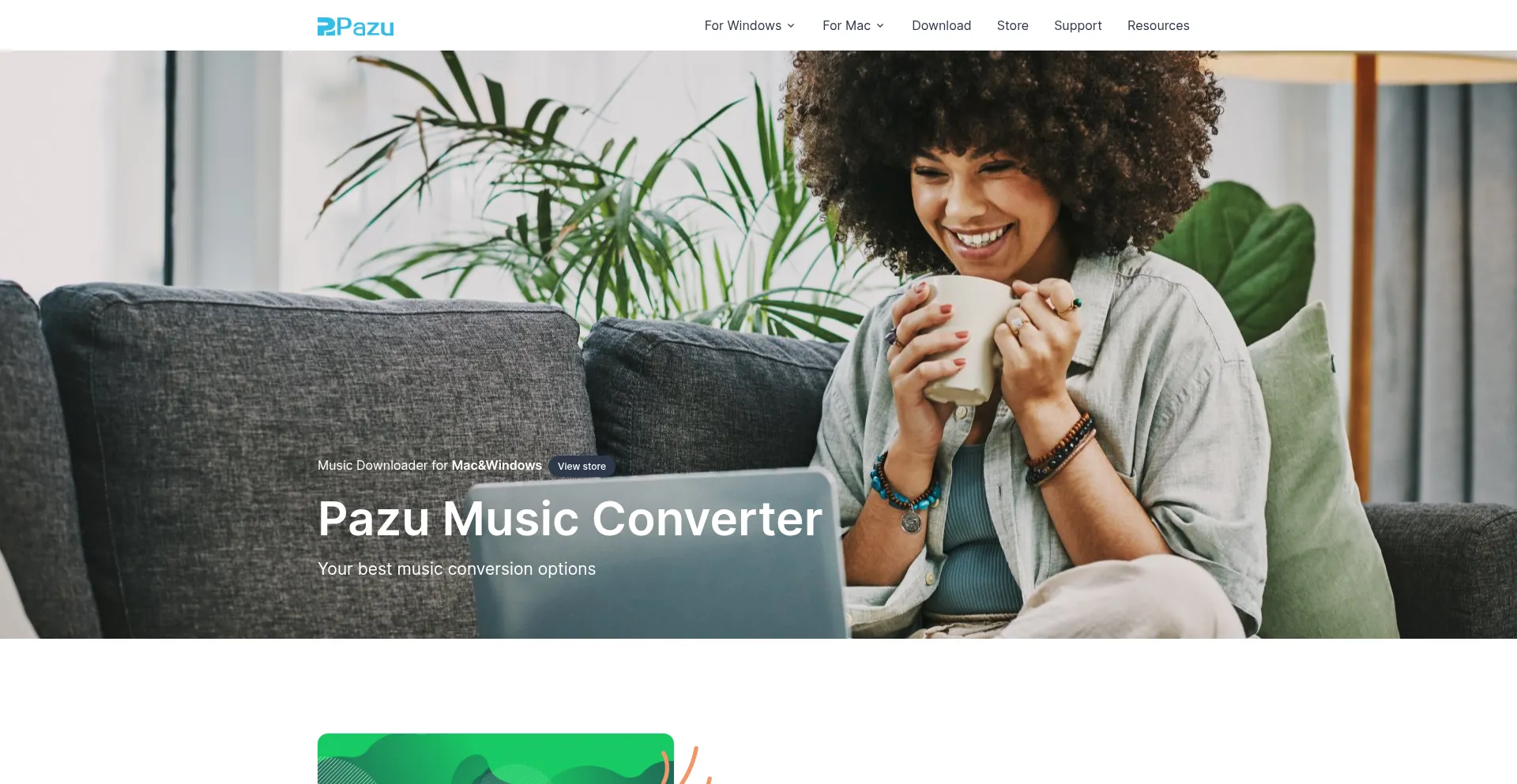 Website screenshot of Pazusoft.com