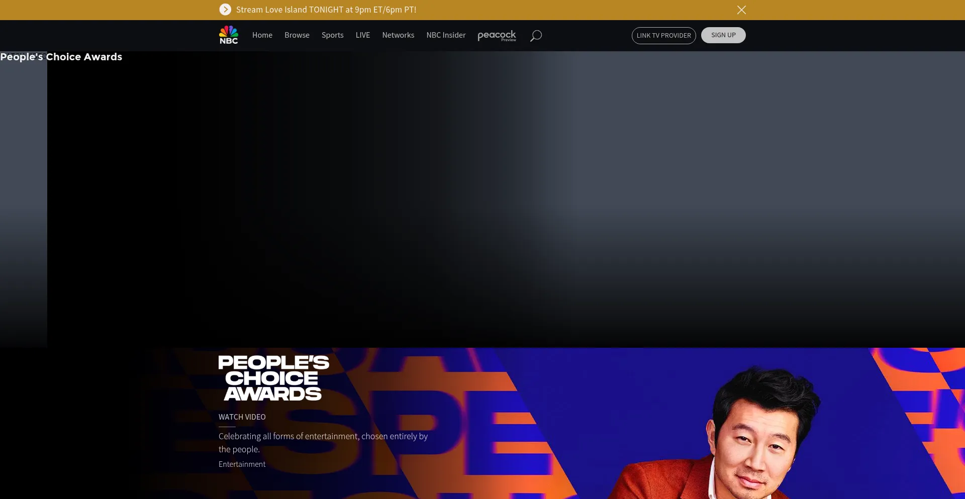 Website screenshot of Pcavote.com