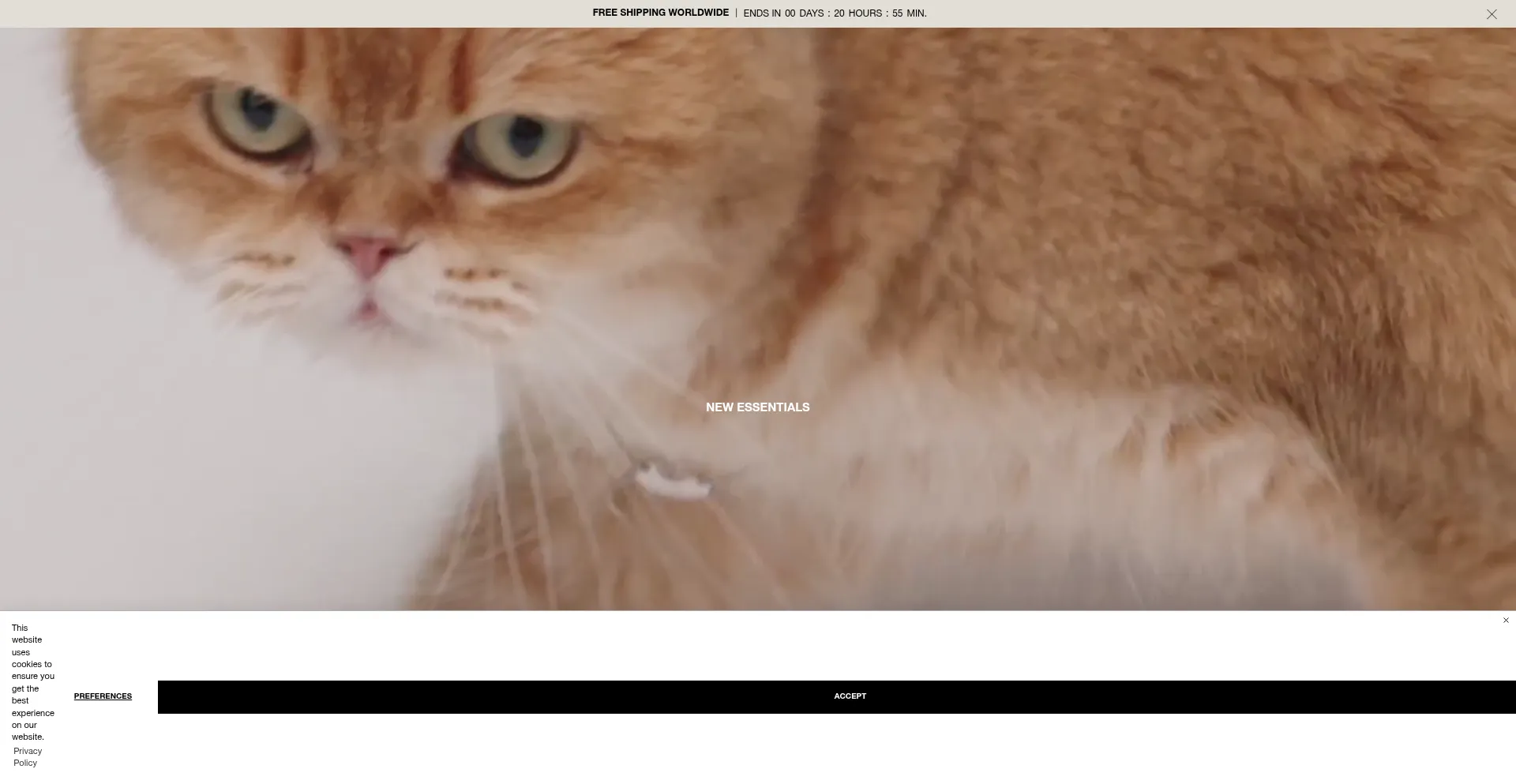 Website screenshot of Pdpaola.com