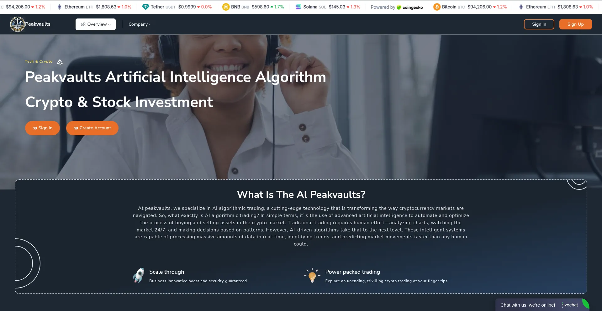 Website screenshot of Peakvaults.com