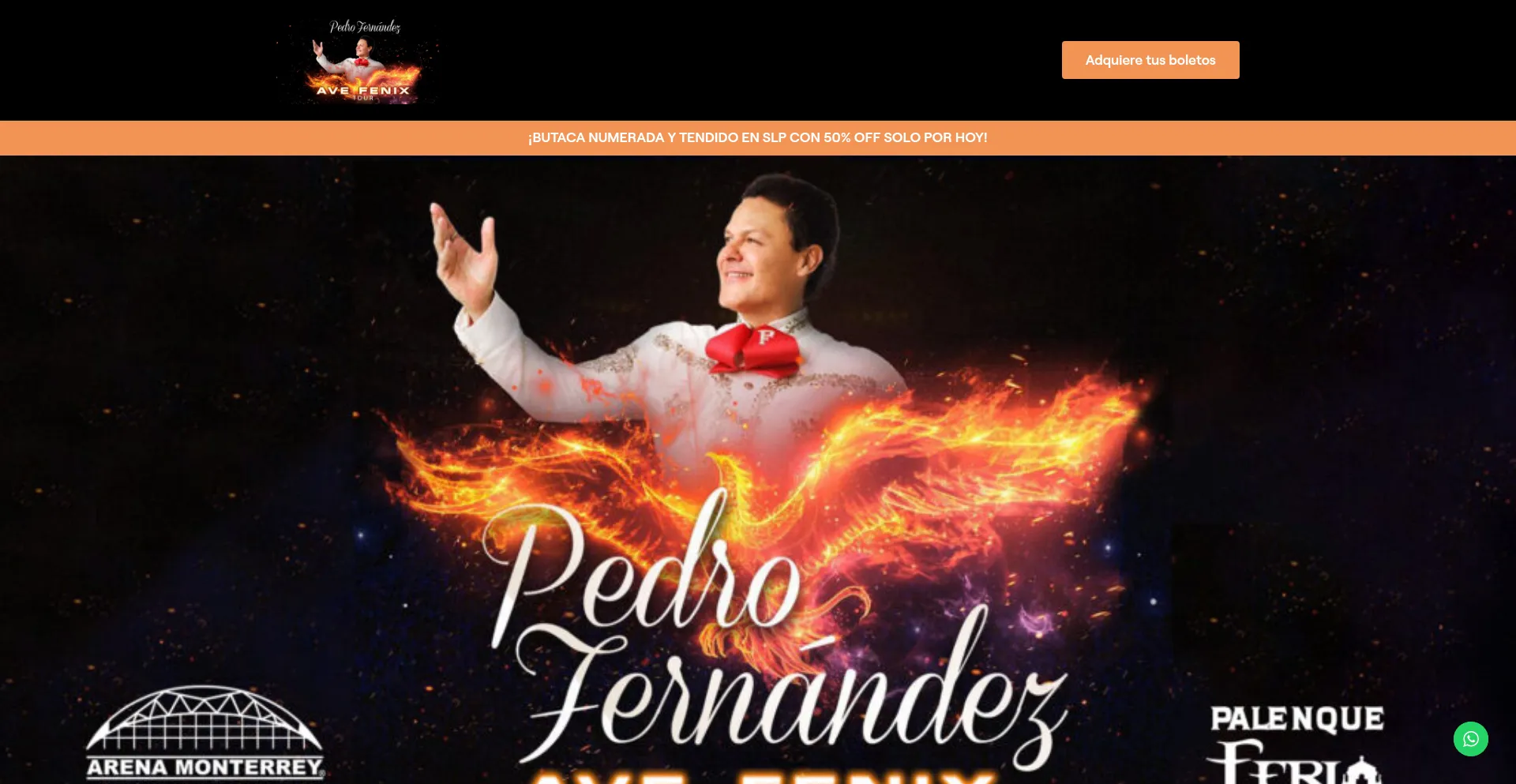 Website screenshot of Pedrofernandez.mx