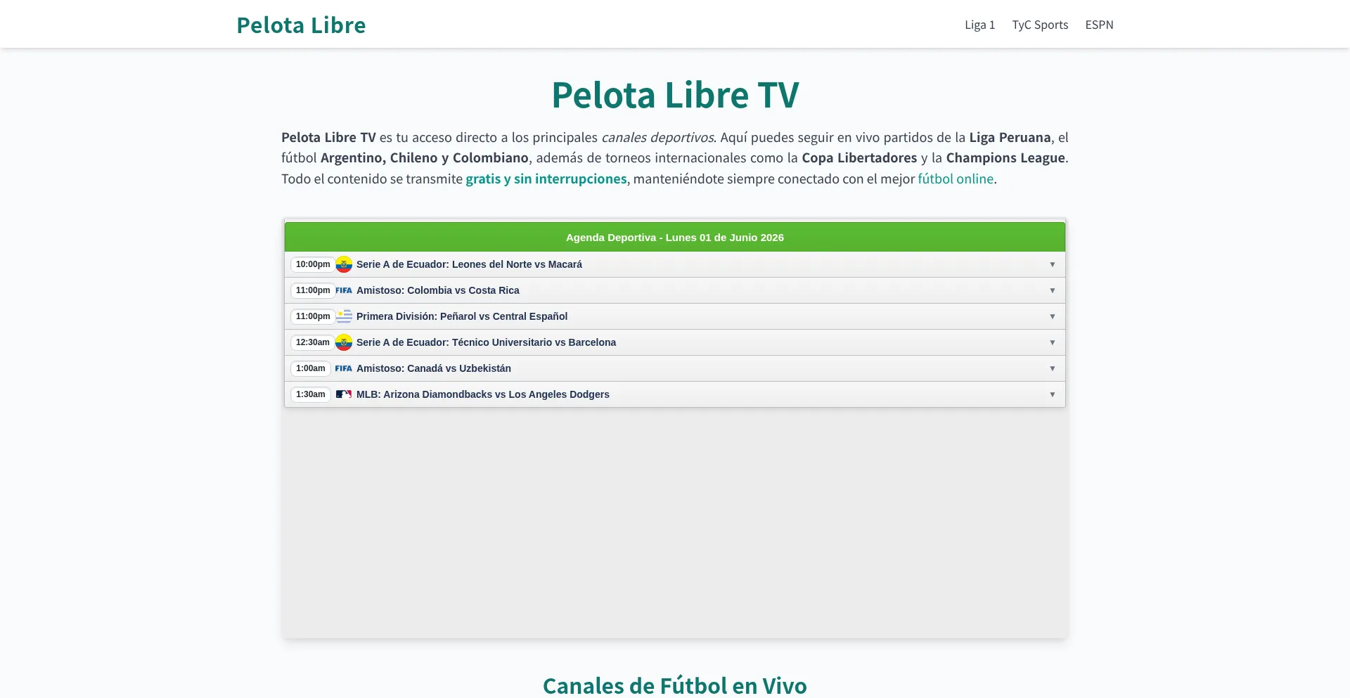 Pelotalibrestv.org