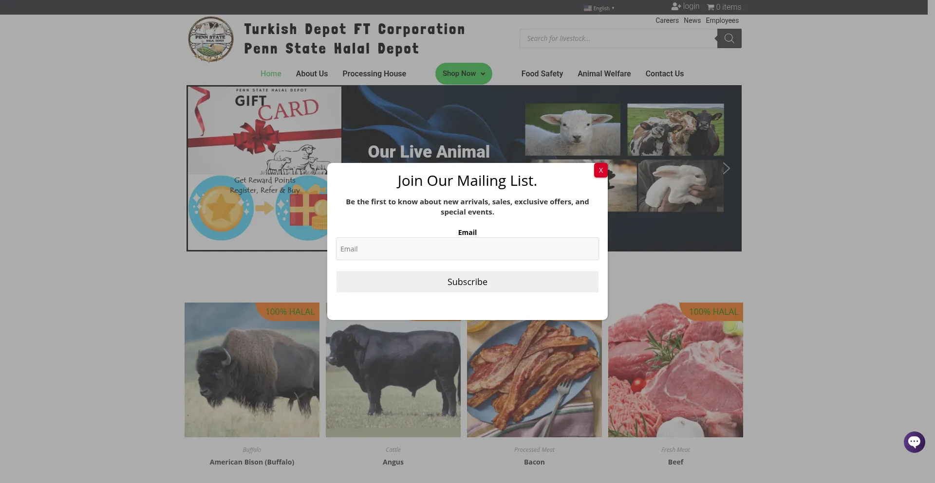 Website screenshot of Pennstatehalaldepot.com