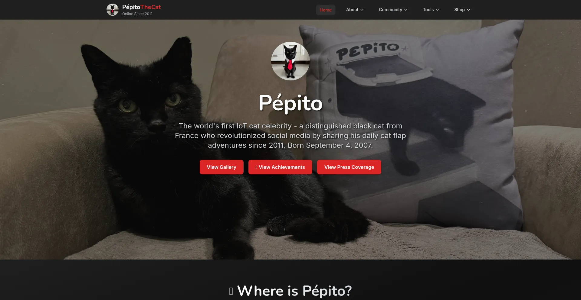Pepitothecat.xyz