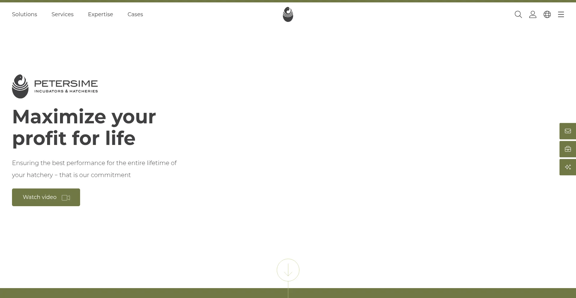 Website screenshot of Petersime.com