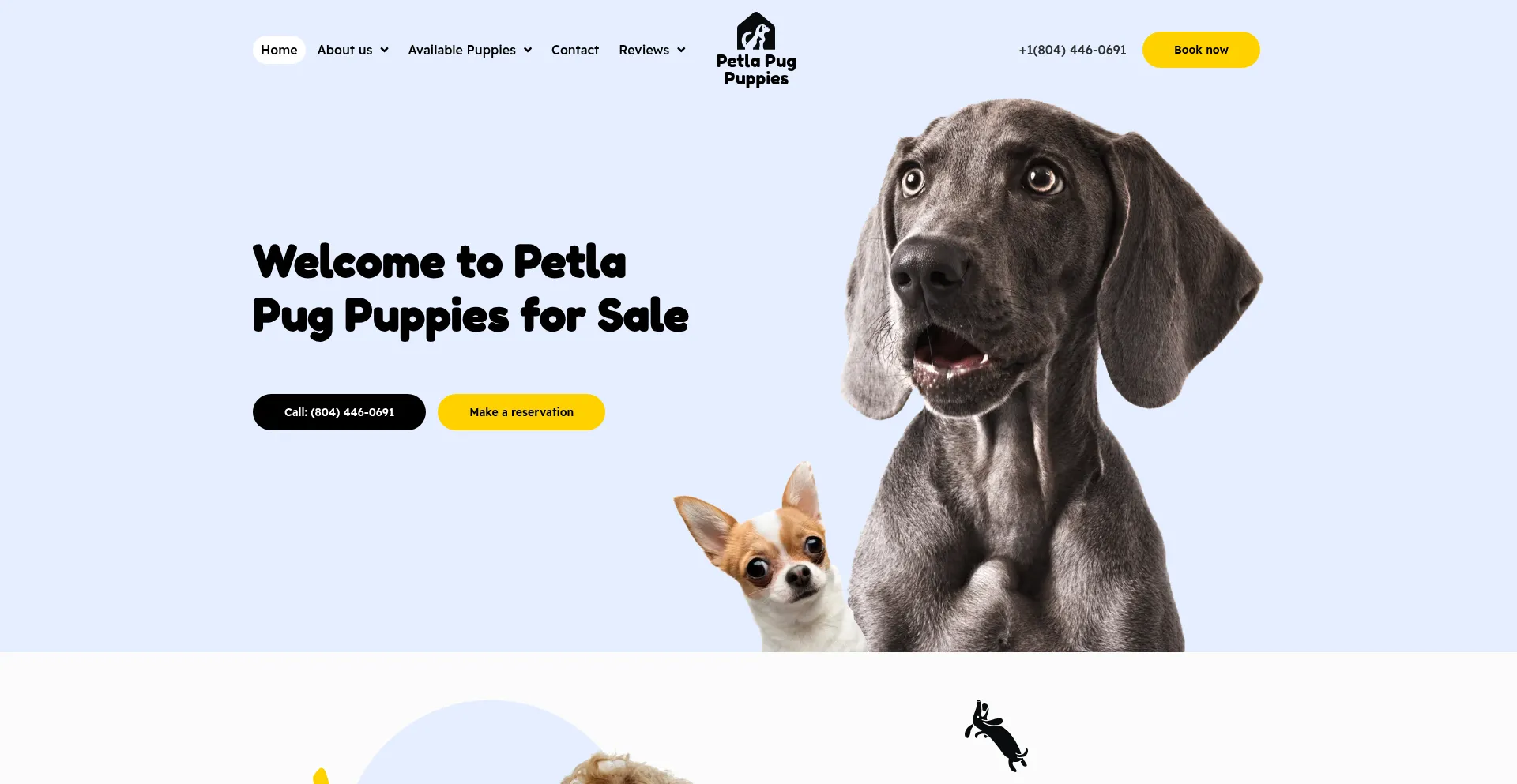 Website screenshot of Petlapugpuppies.com