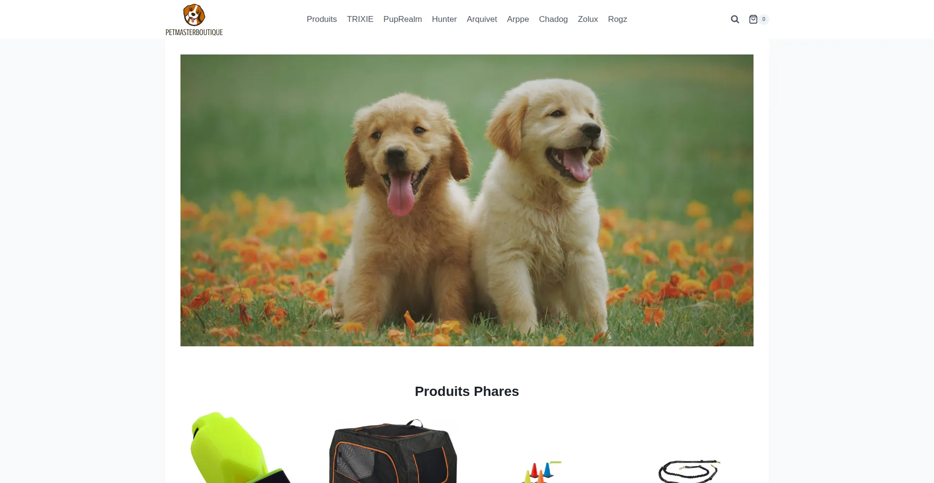 Petmasterboutique.com