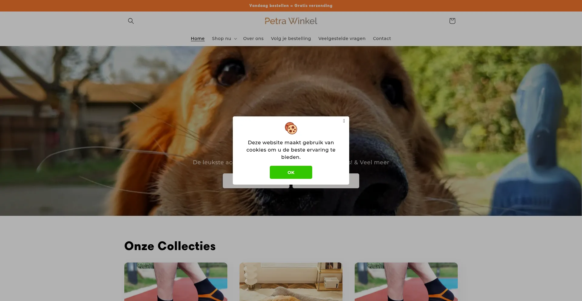 Website screenshot of Petra-winkel.nl