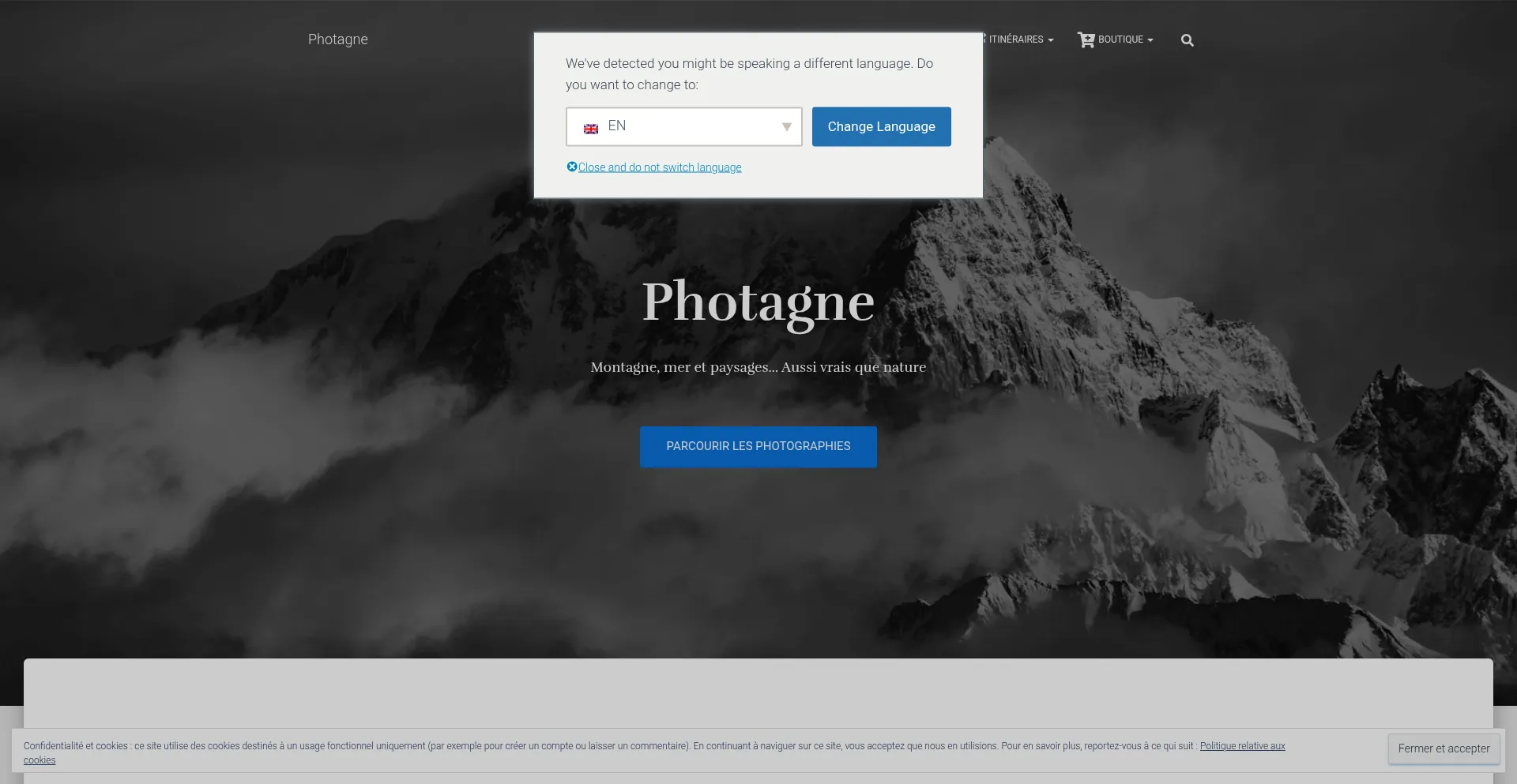Website screenshot of Photagne.com