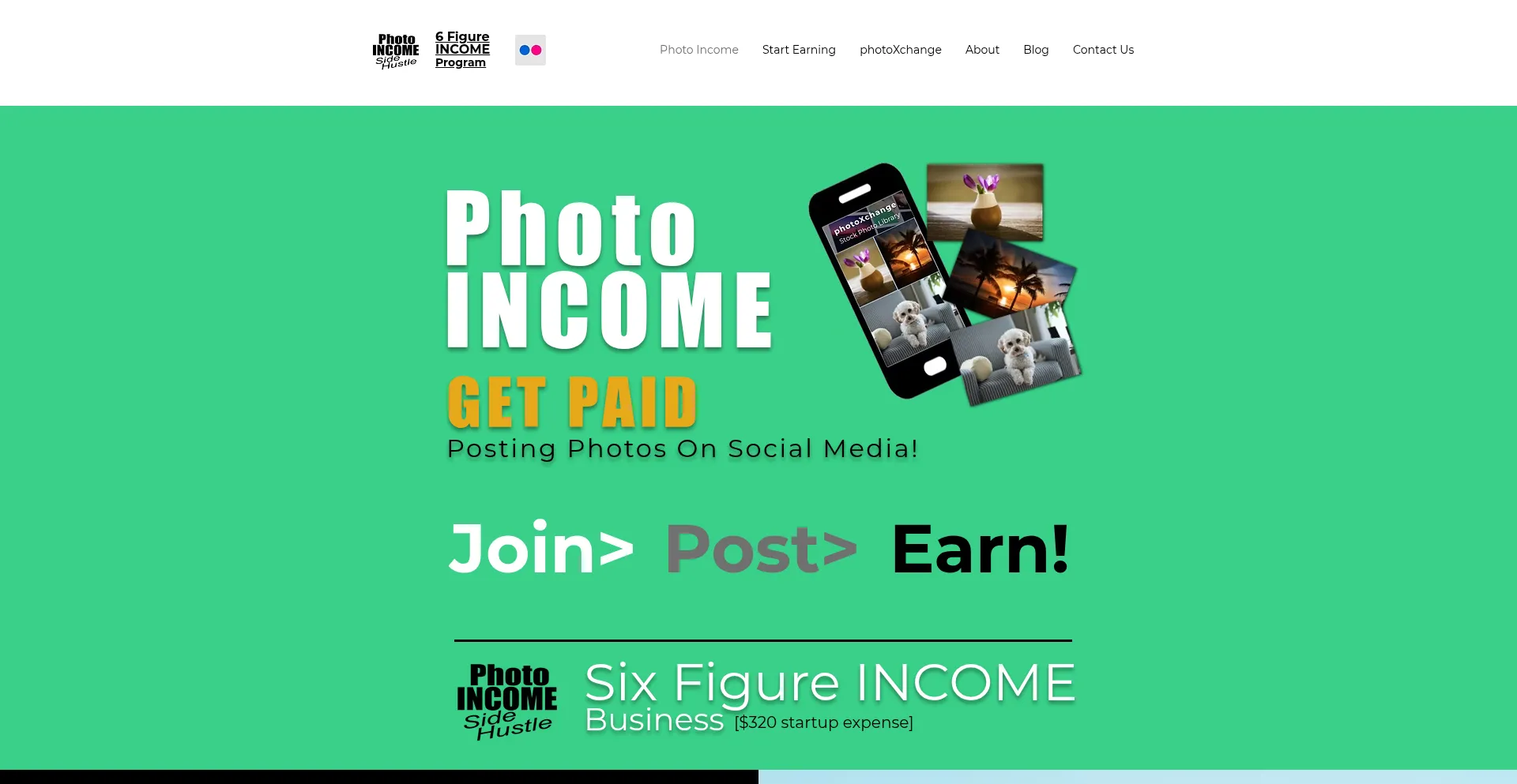 Website screenshot of Photoincomesidehustle.com