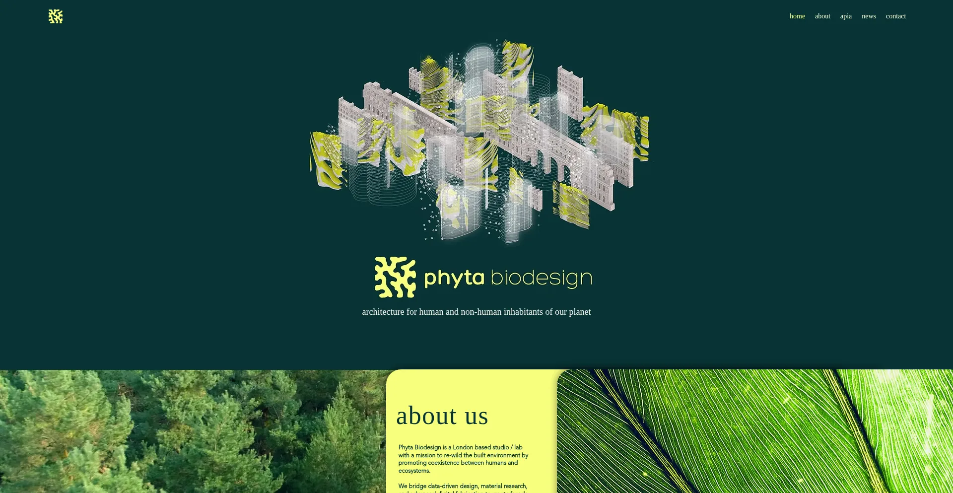 Website screenshot of Phytadesign.com