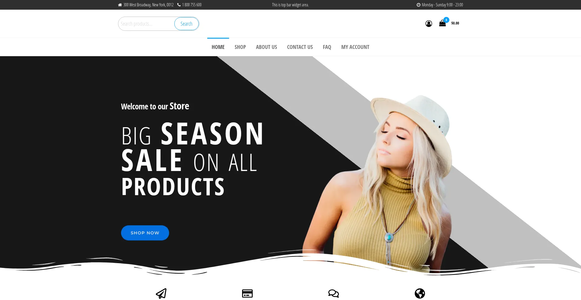 Website screenshot of Picknelo.shop