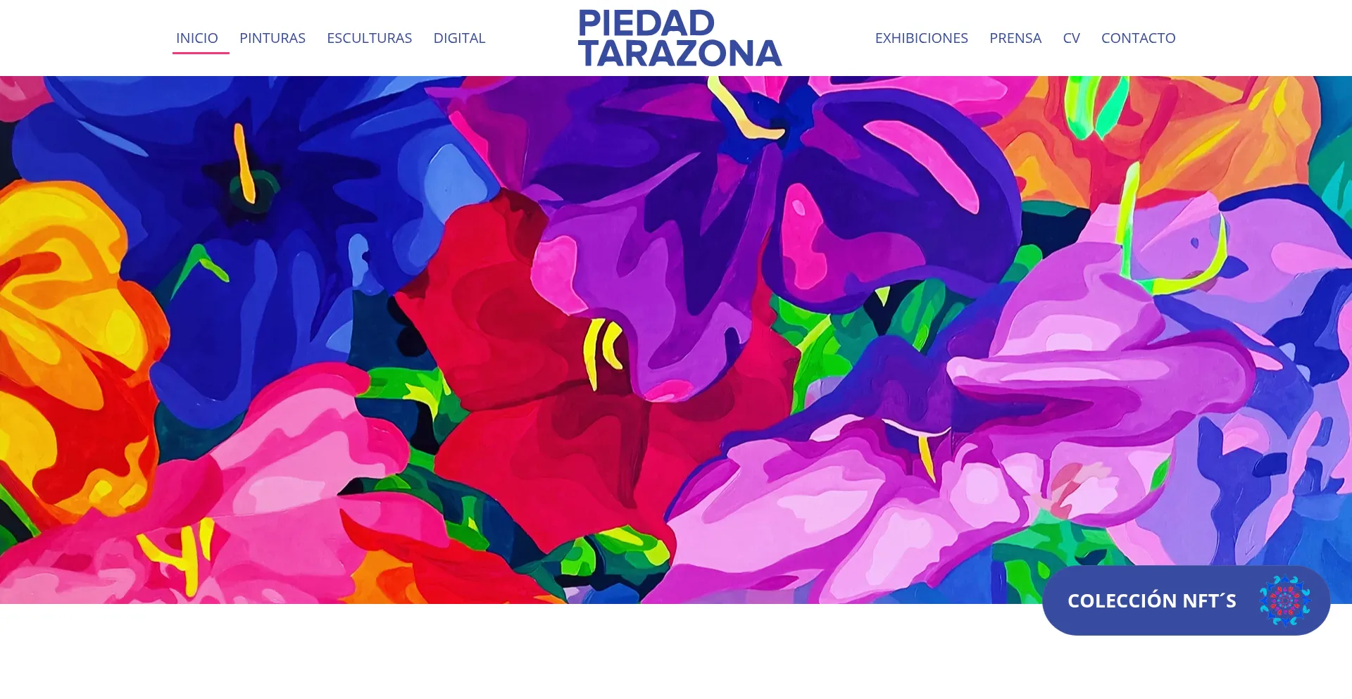 Piedadtarazona.com