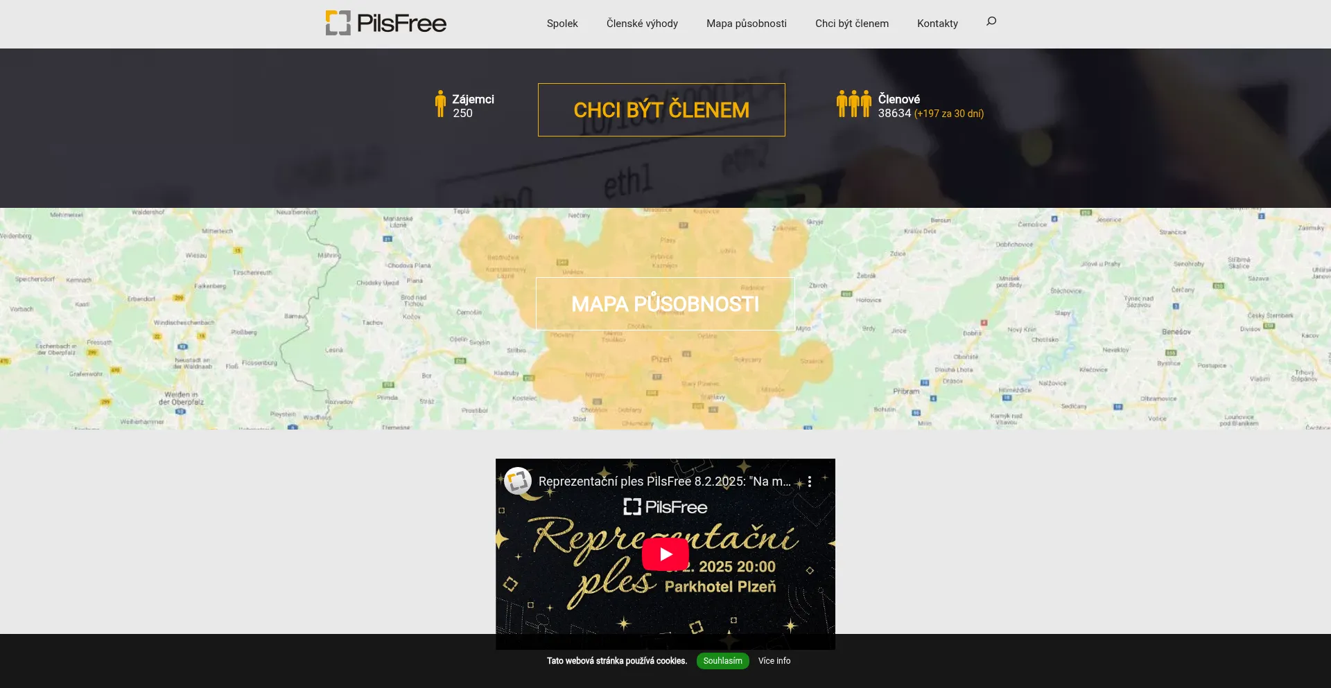 Website screenshot of Pilsfree.net