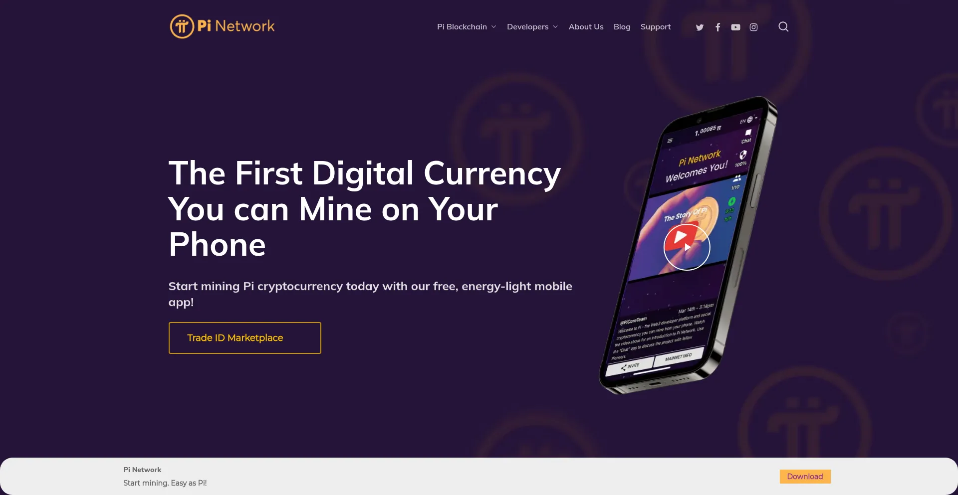 Pinettradeicon.online