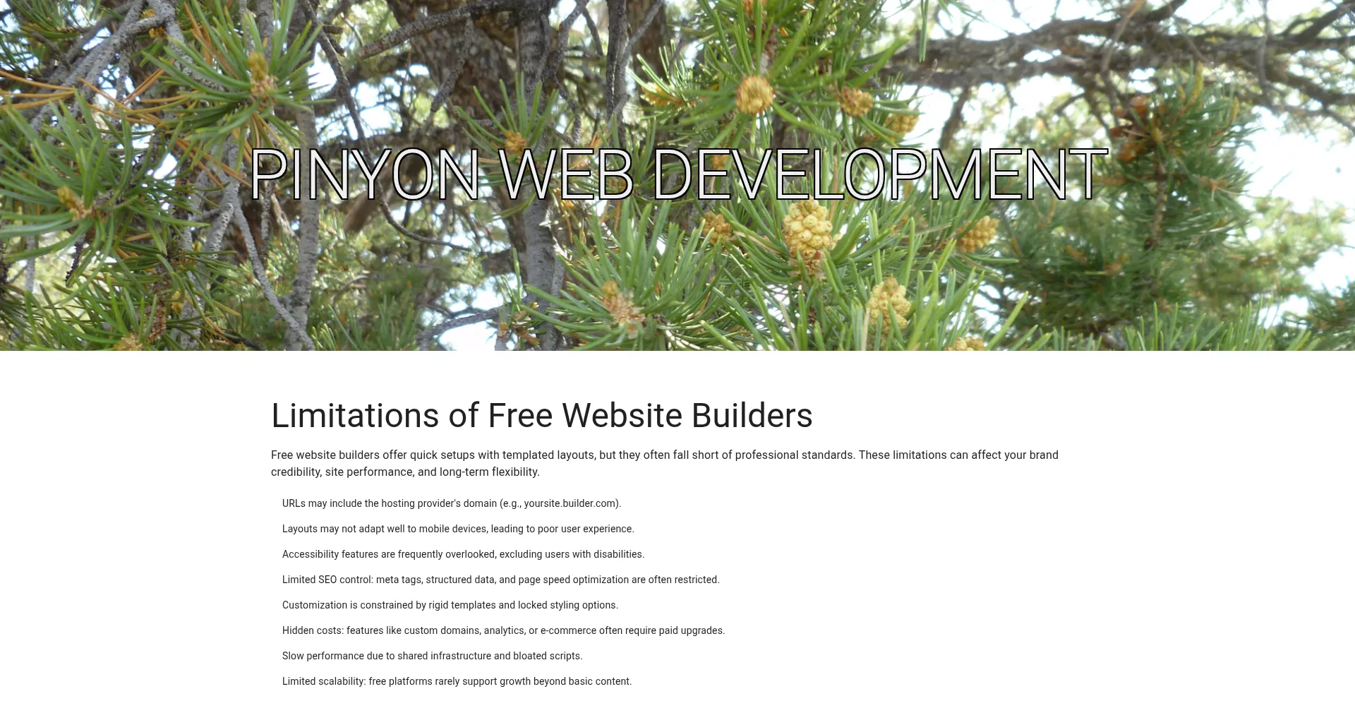 Pinyon.dev