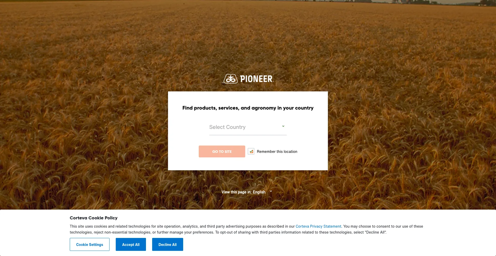 Website screenshot of Pioneer.com