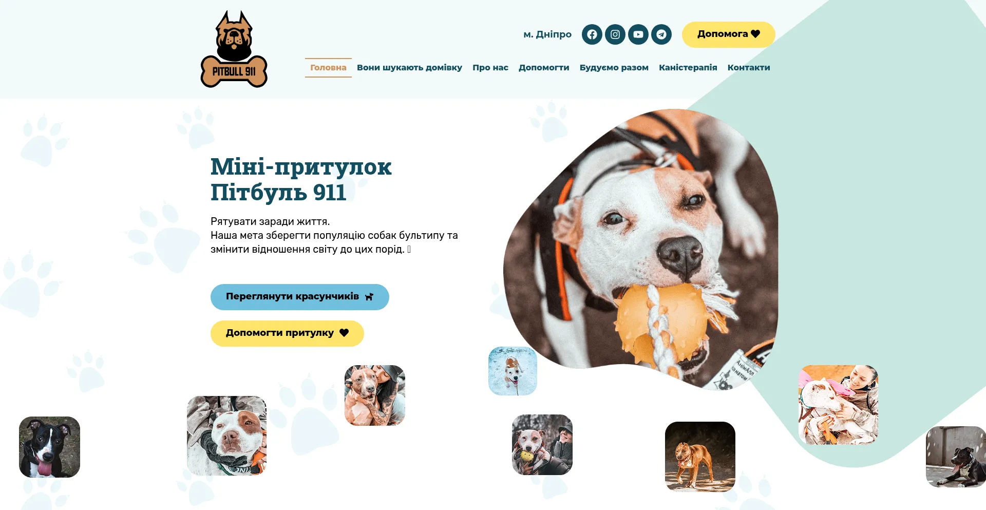 Pitbull911.com.ua