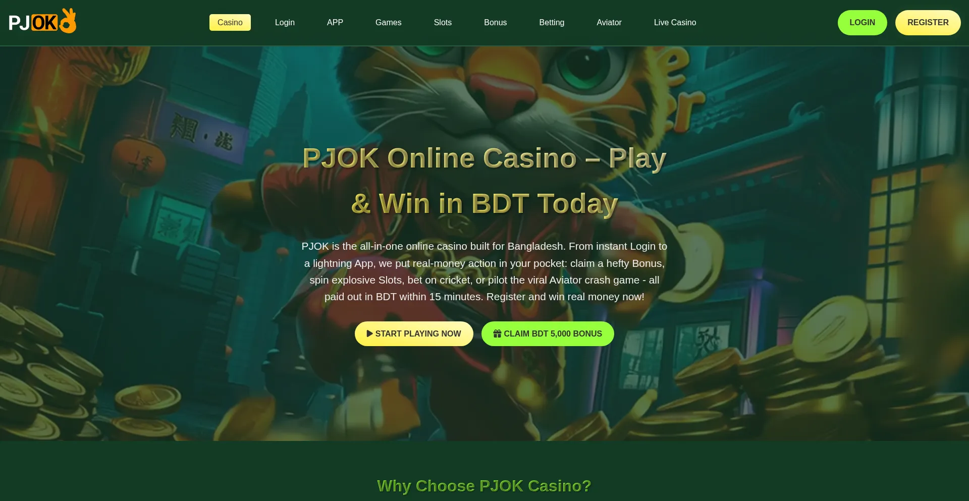 Website screenshot of Pjok1.net