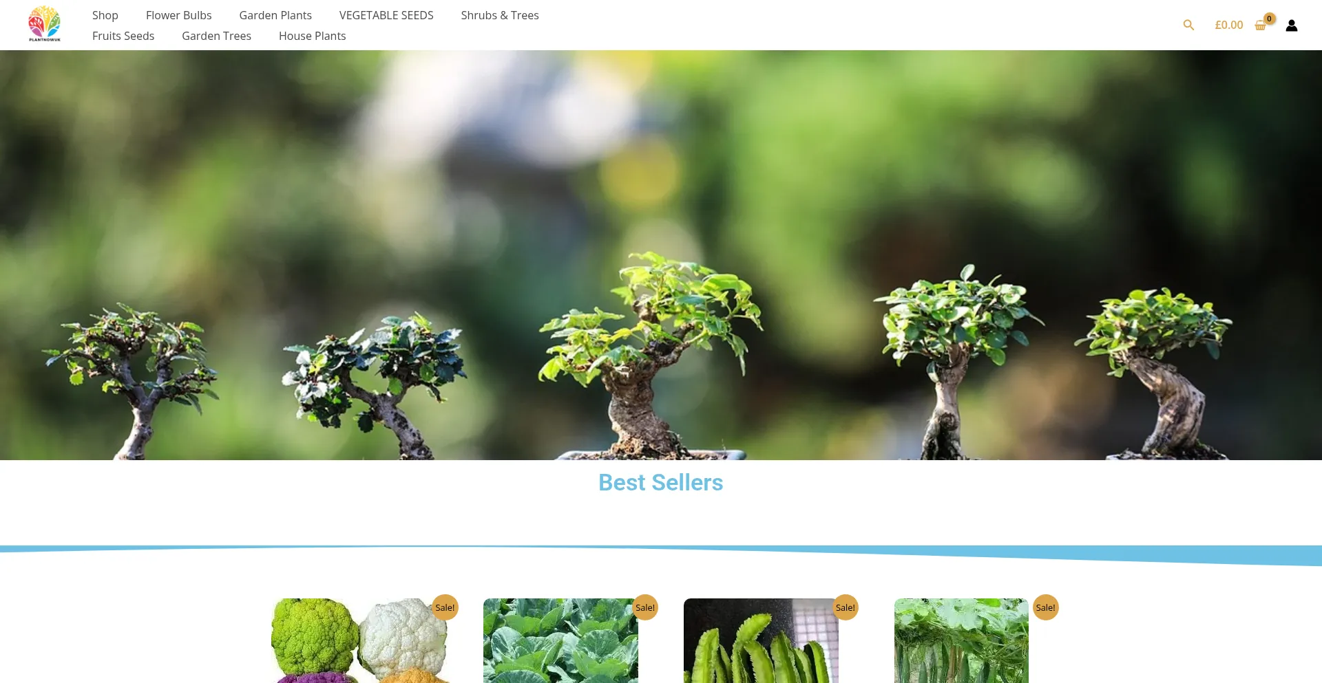 Plantnowuk.com