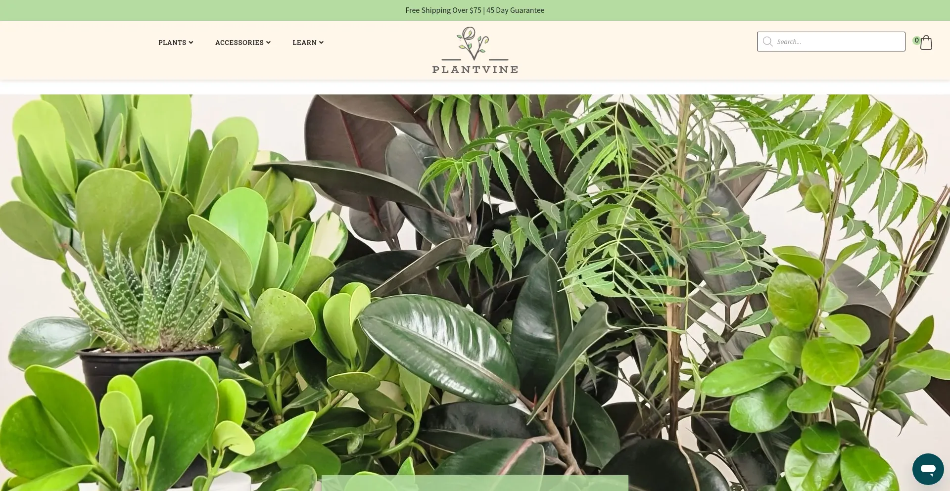Plantvine.com