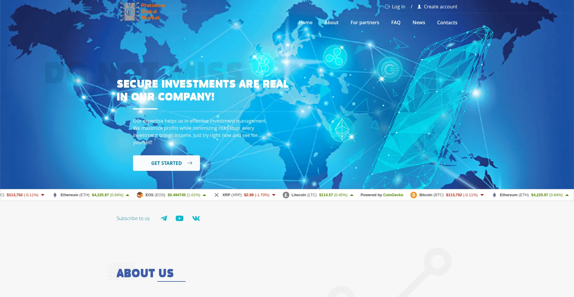 Website screenshot of Platinumglobalmarket.com
