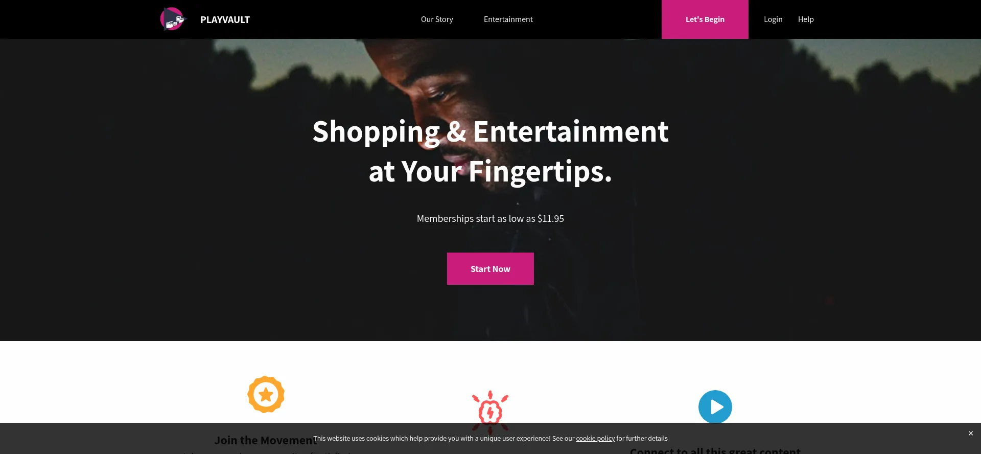 Website screenshot of Playvault.net