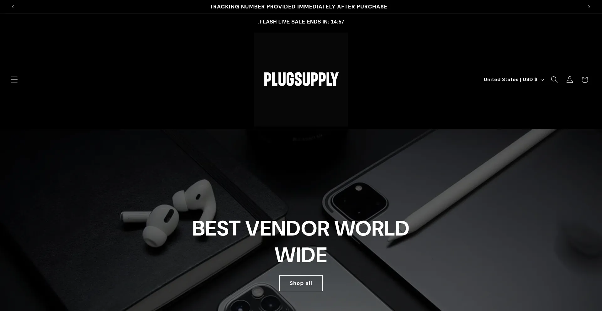Website screenshot of Plugsupply.store