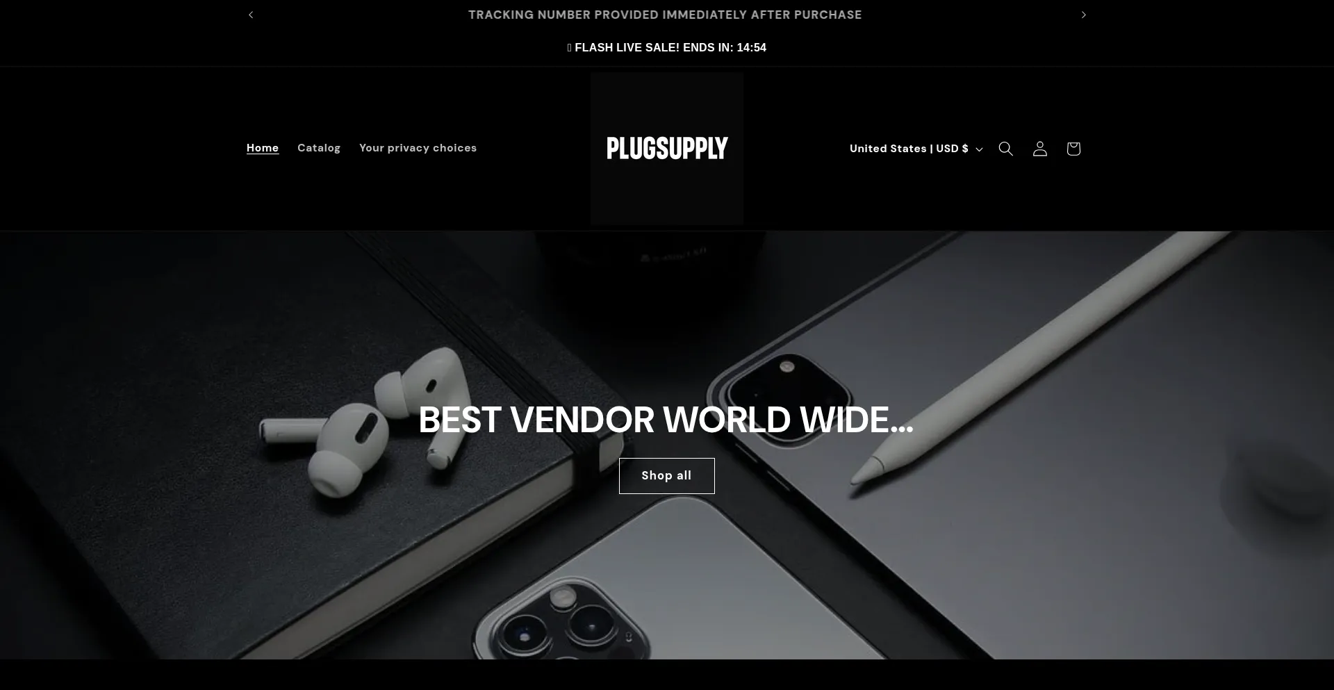 Website screenshot of Plugsupply.us