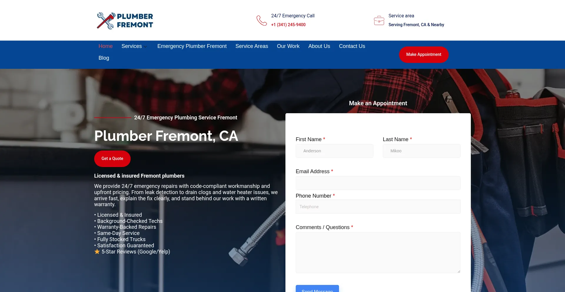 Plumberinfremont.com