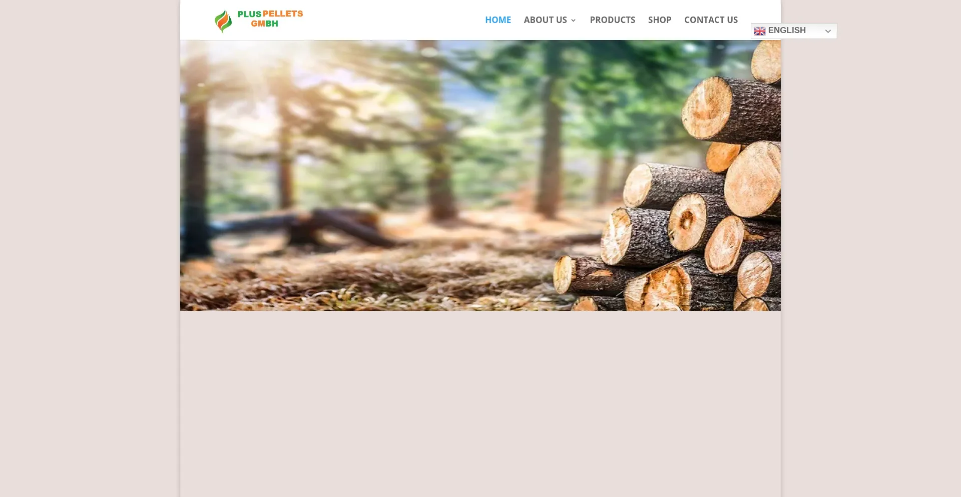 Website screenshot of Pluspelletsgmbh.de