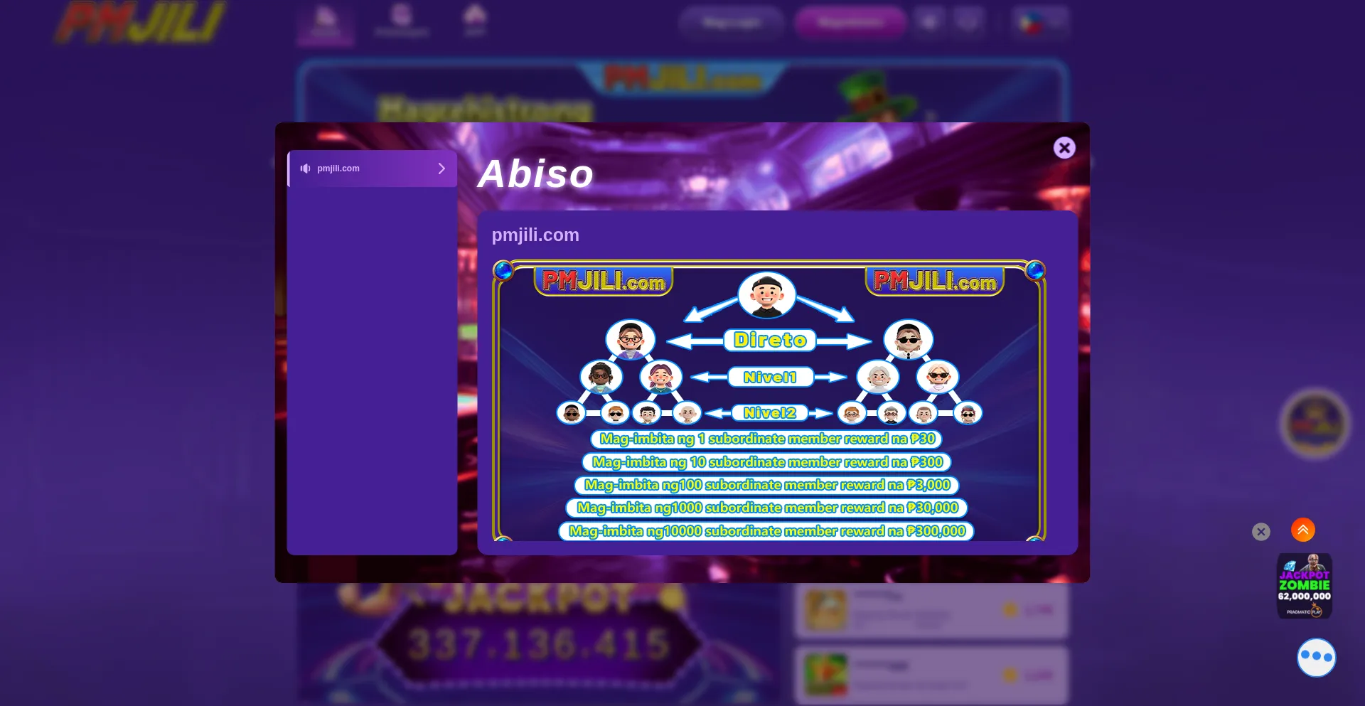 Website screenshot of Pmjili.com