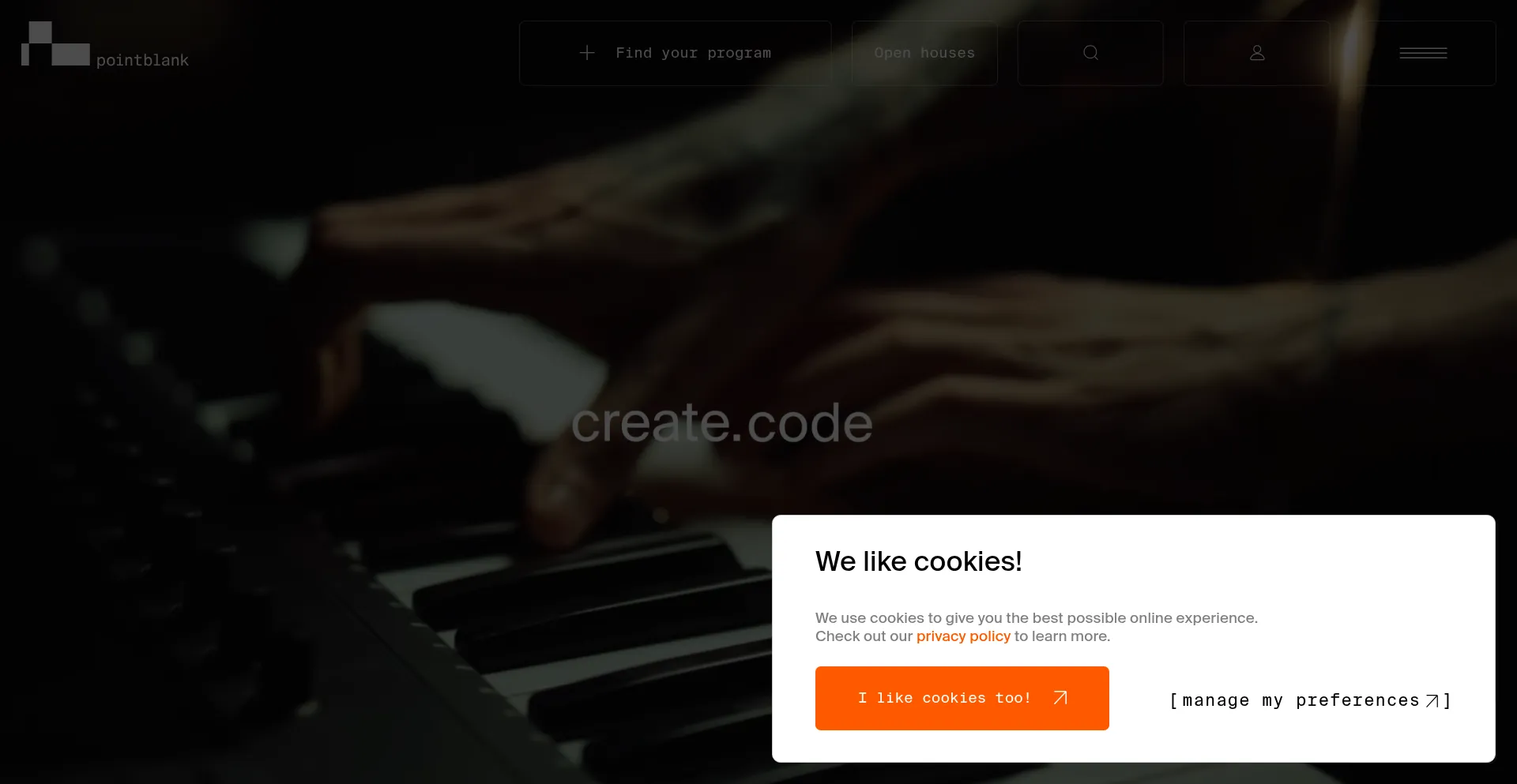 Website screenshot of Pointblankmusicschool.com