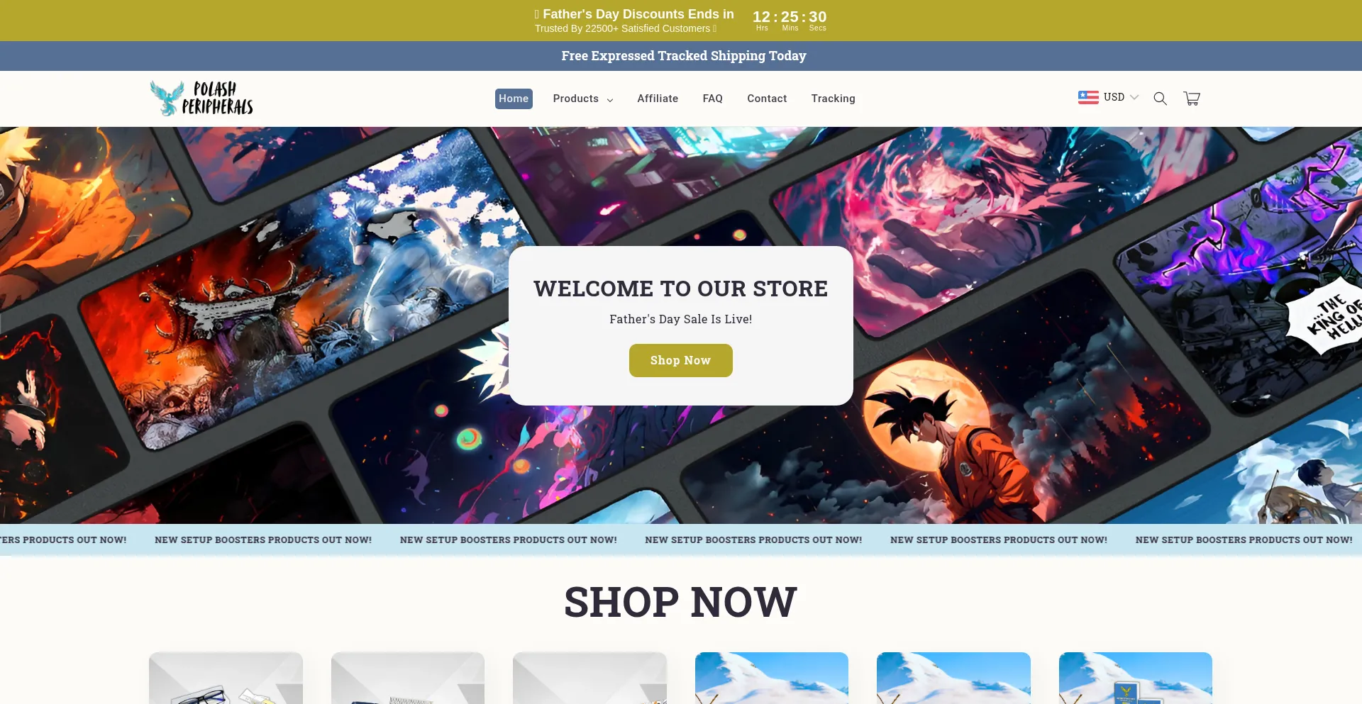 Website screenshot of Polashperipherals.com