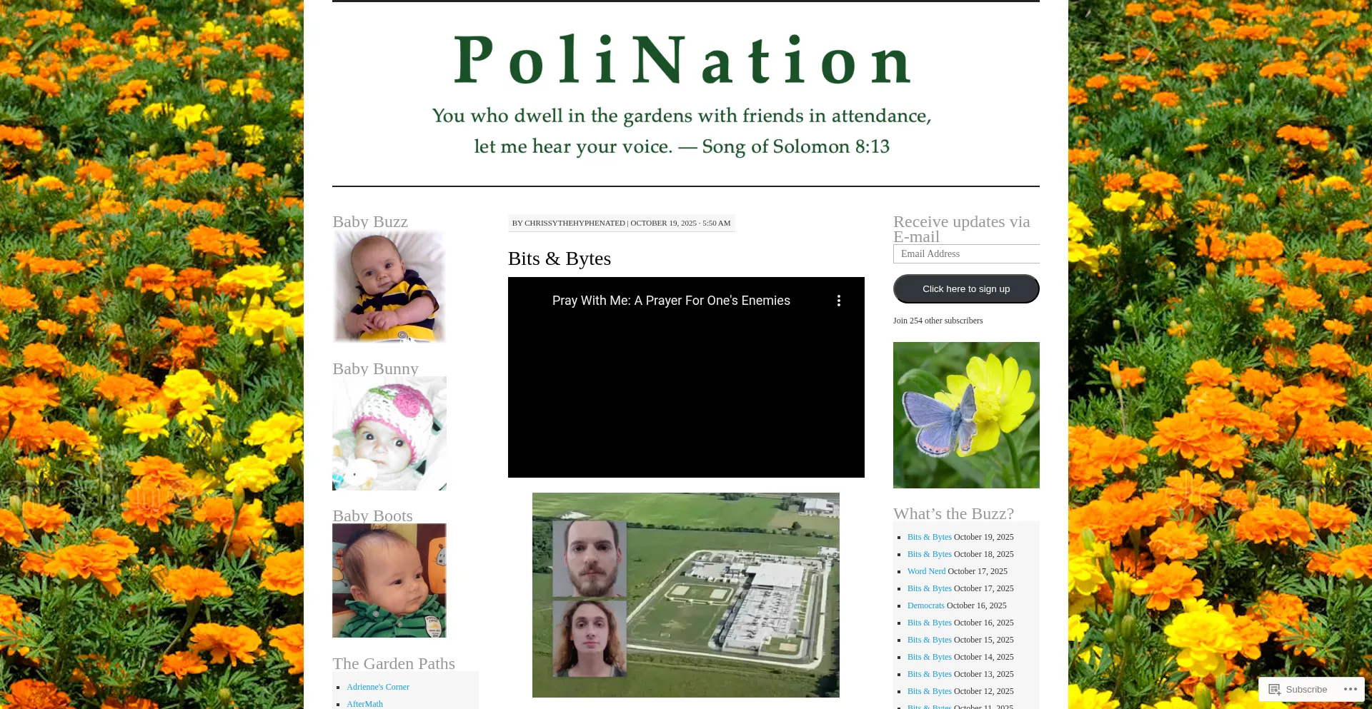 Polination.blog