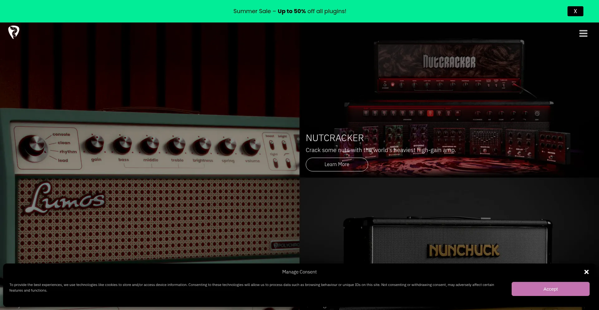 Website screenshot of Polychromedsp.com