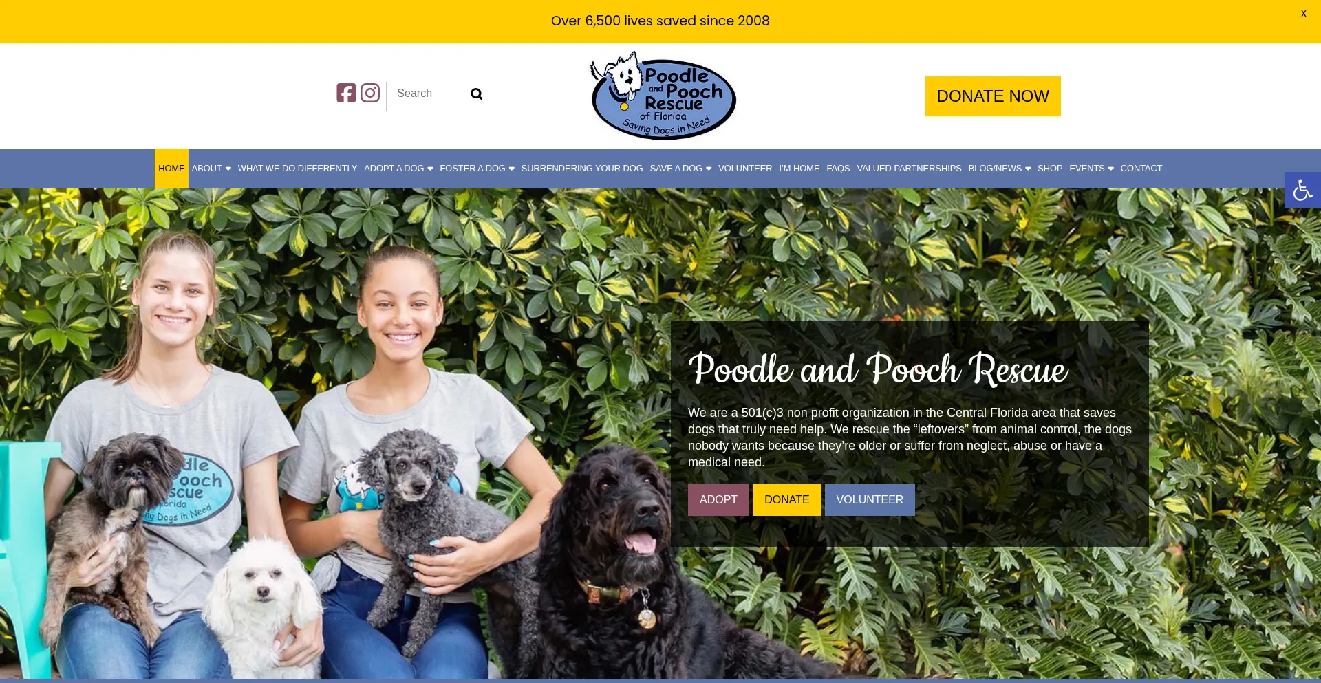 Website screenshot of Poodleandpoochrescue.org