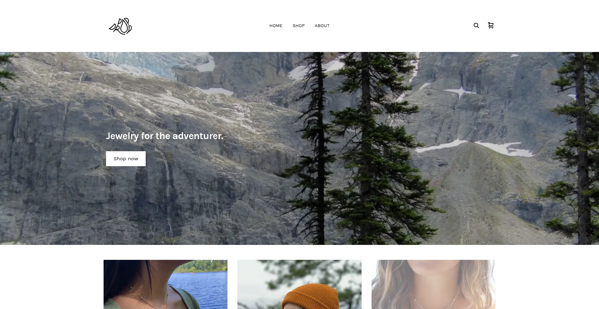 Website screenshot of Popdrop.ca