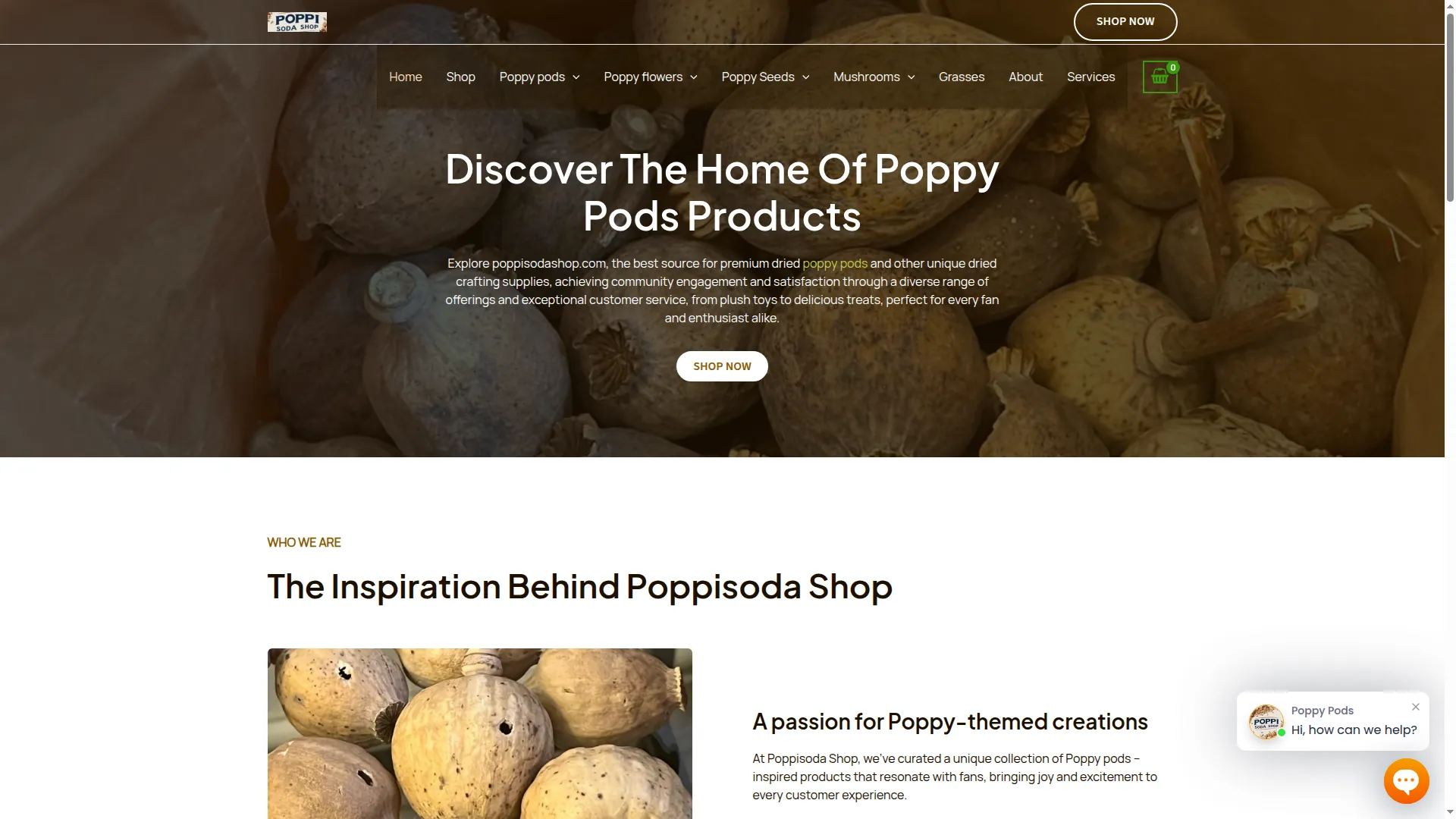 Poppisodashop.com