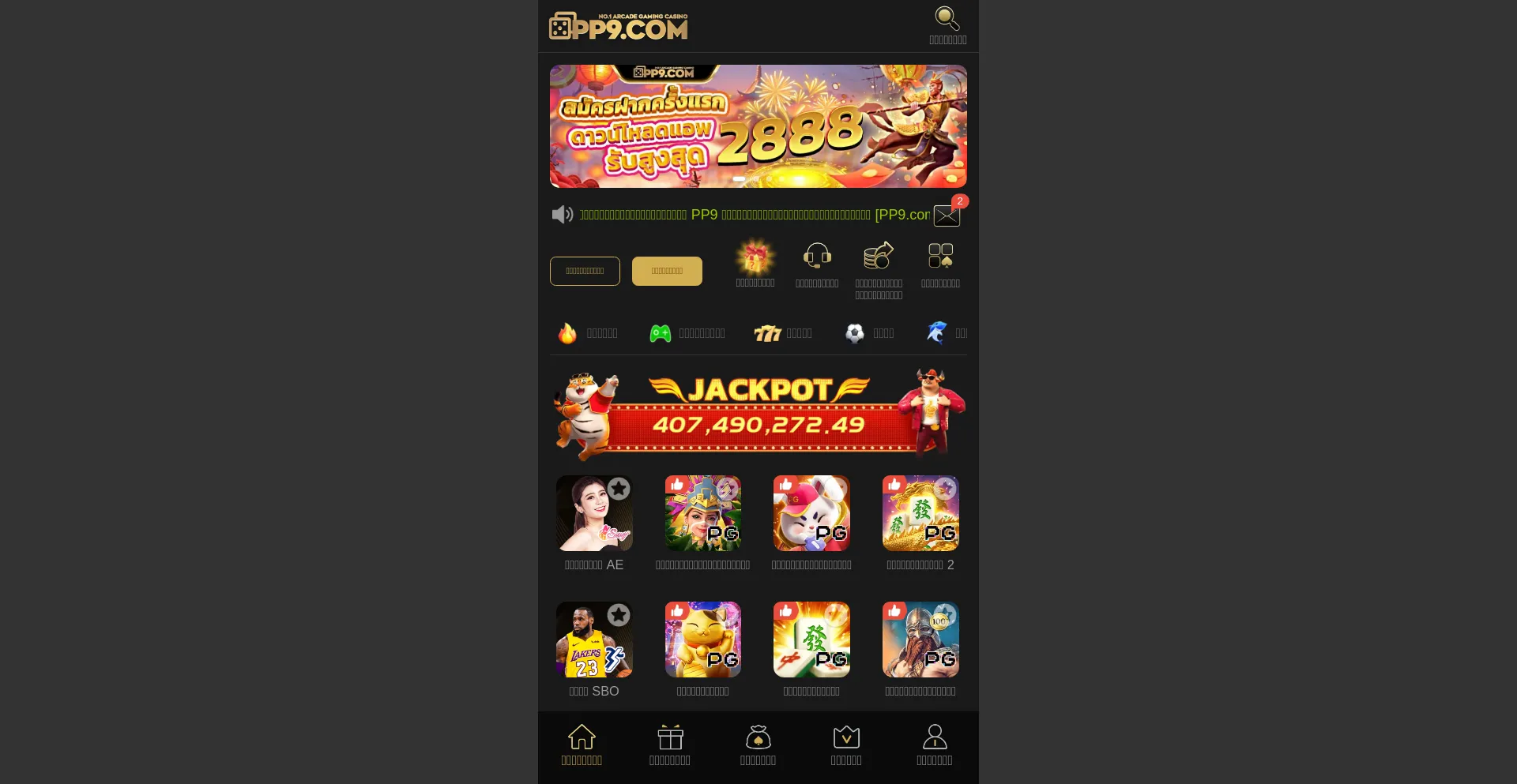 Website screenshot of Pp9thb.com