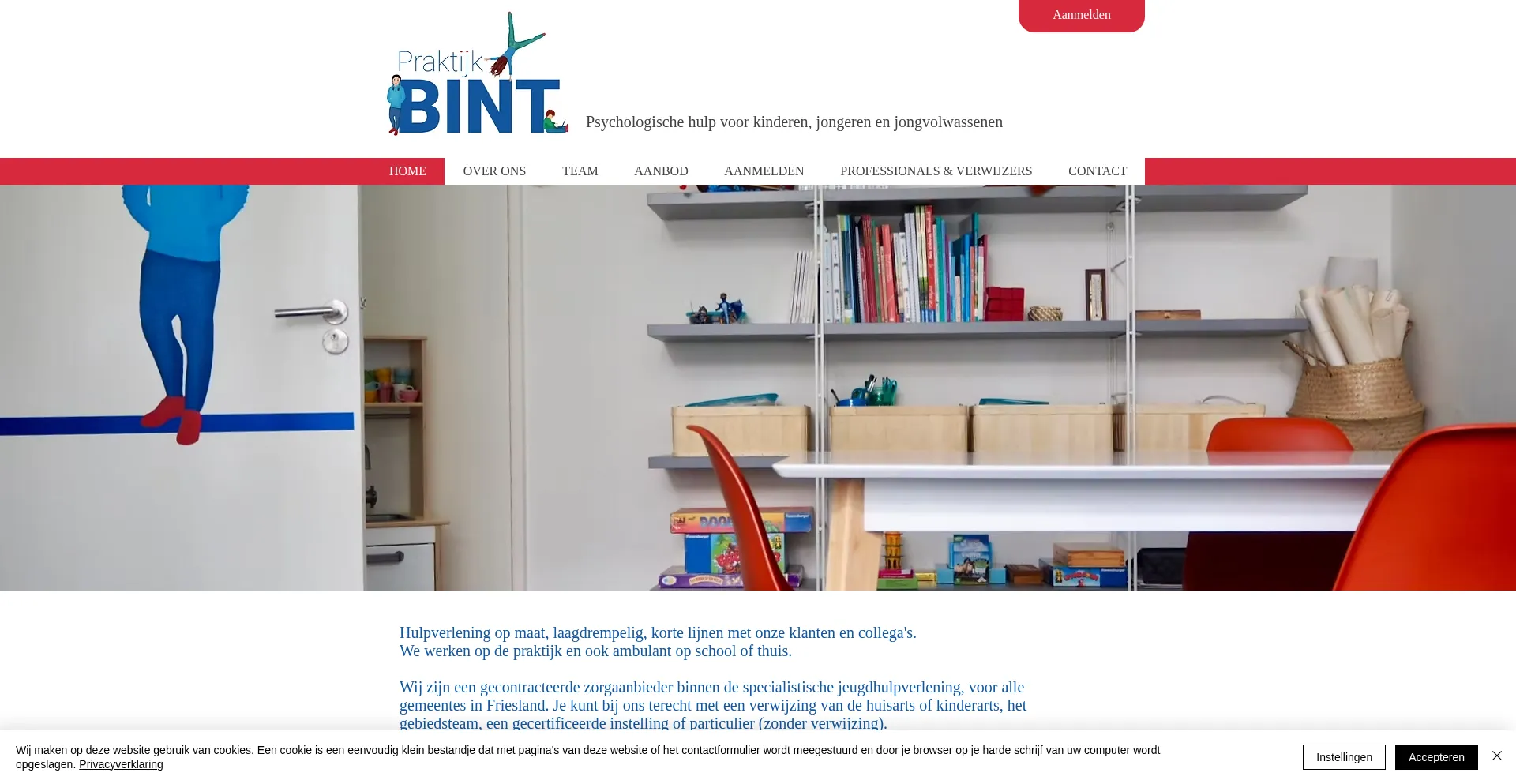 Website screenshot of Praktijkbint.nl